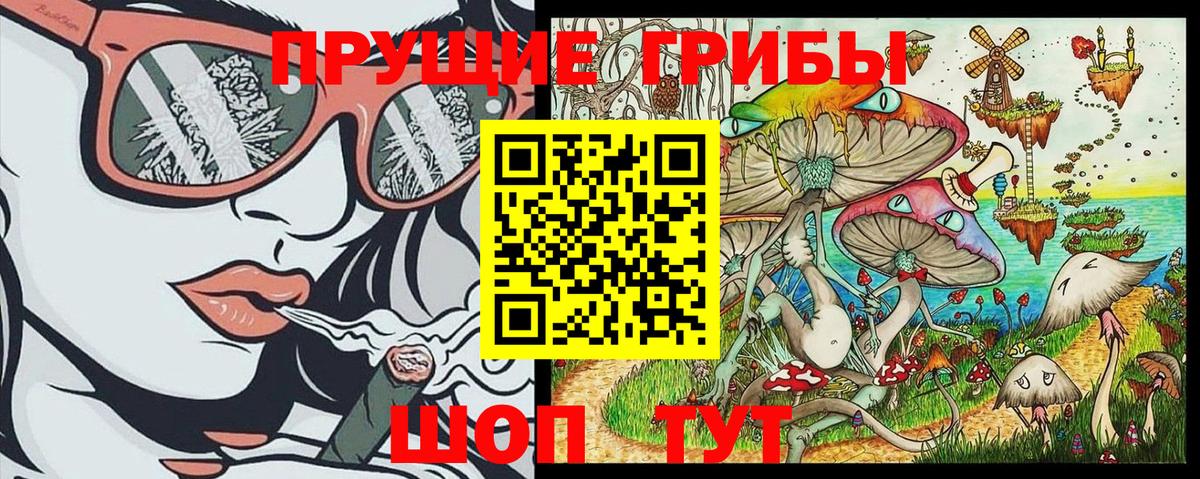 Галлюциногенные грибы Magic Shrooms  Вход с VPN  Людиново  Галлюциногенные грибы ЛСД 