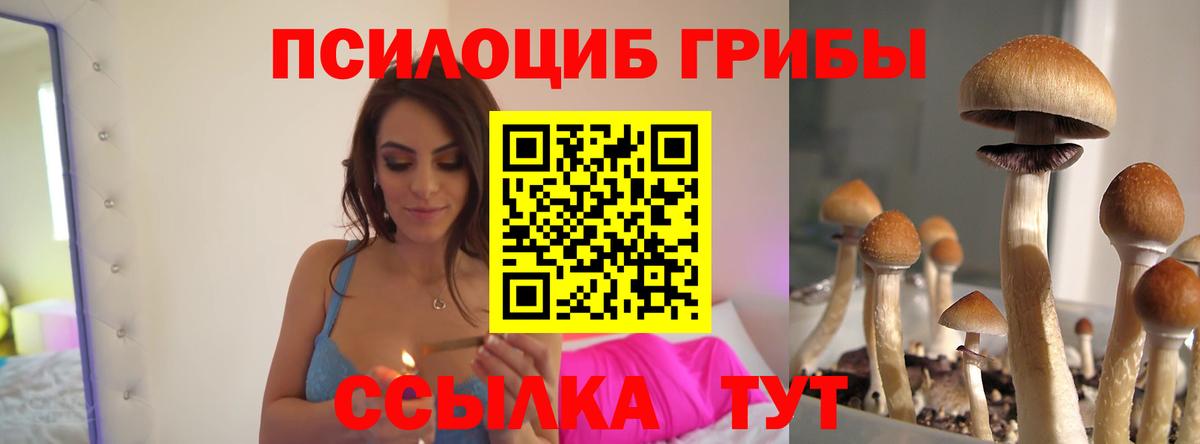 Псилоцибиновые грибы прущие грибы Людиново